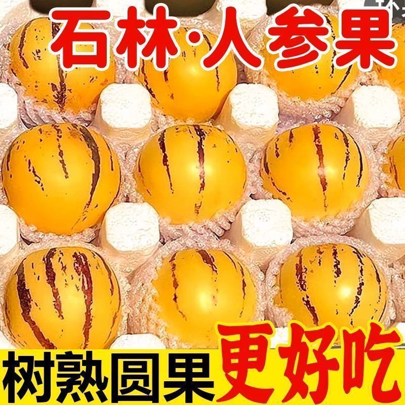 正宗石林人参果只做树熟