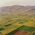 黄草坡小米
