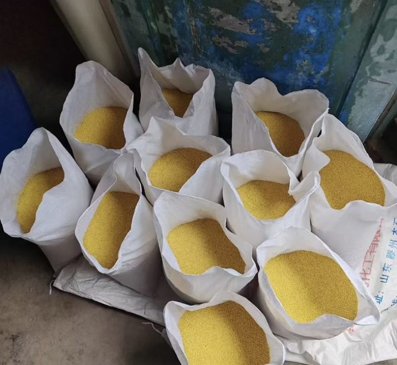 黄草坡小米