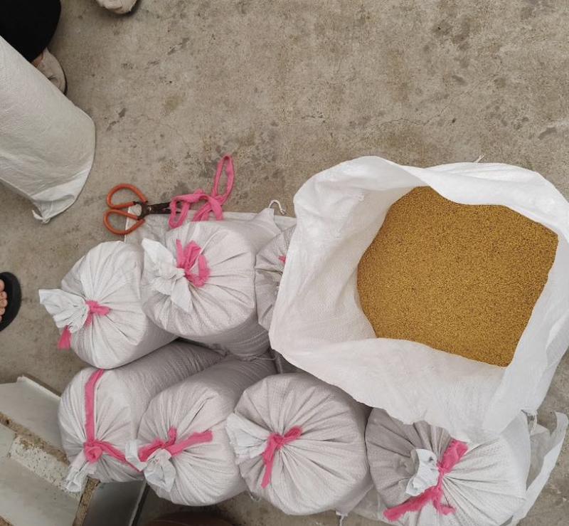 黄草坡小米需要的联系