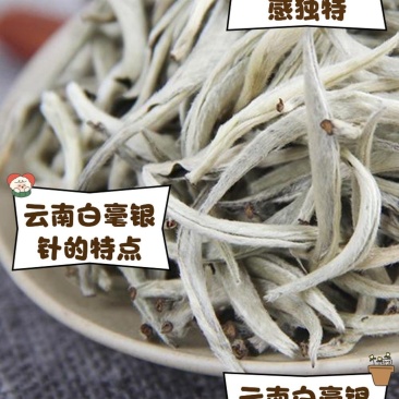 白毫银针