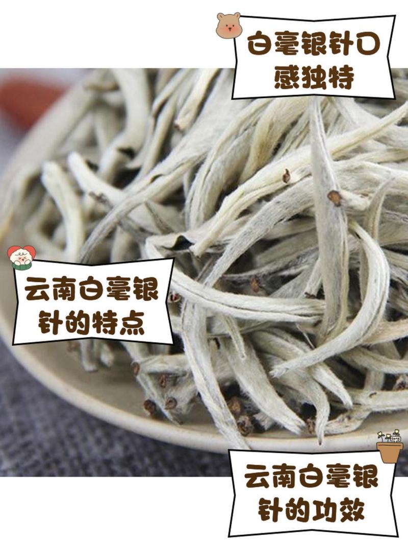 白毫银针