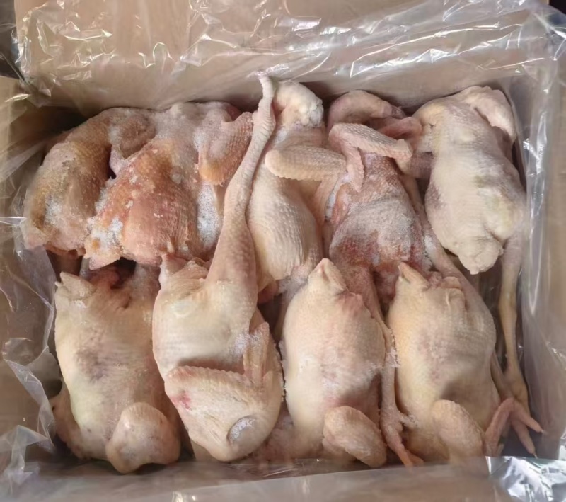 二级老母鸡，工厂直接发货，资质齐全，清库处理价