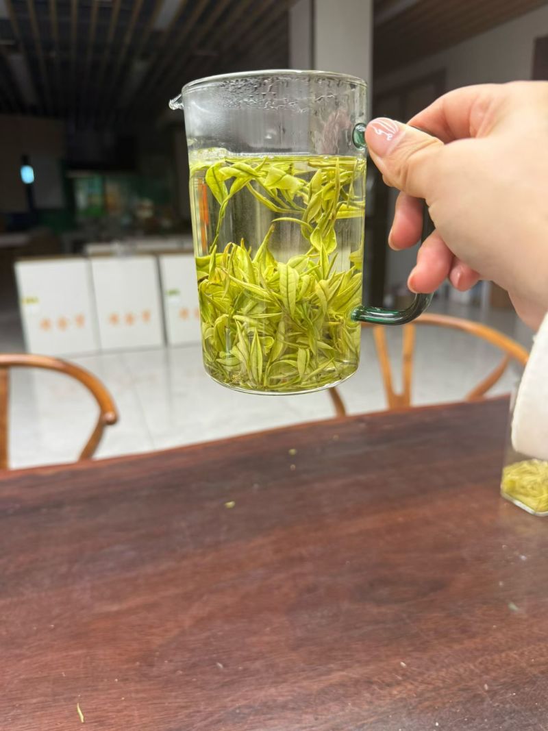 安吉白茶