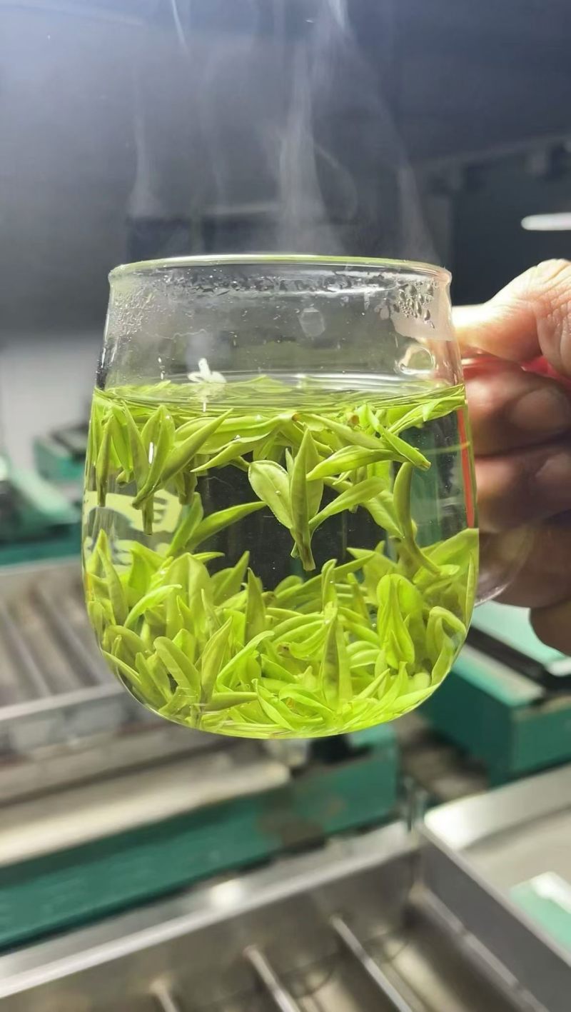 安吉白茶