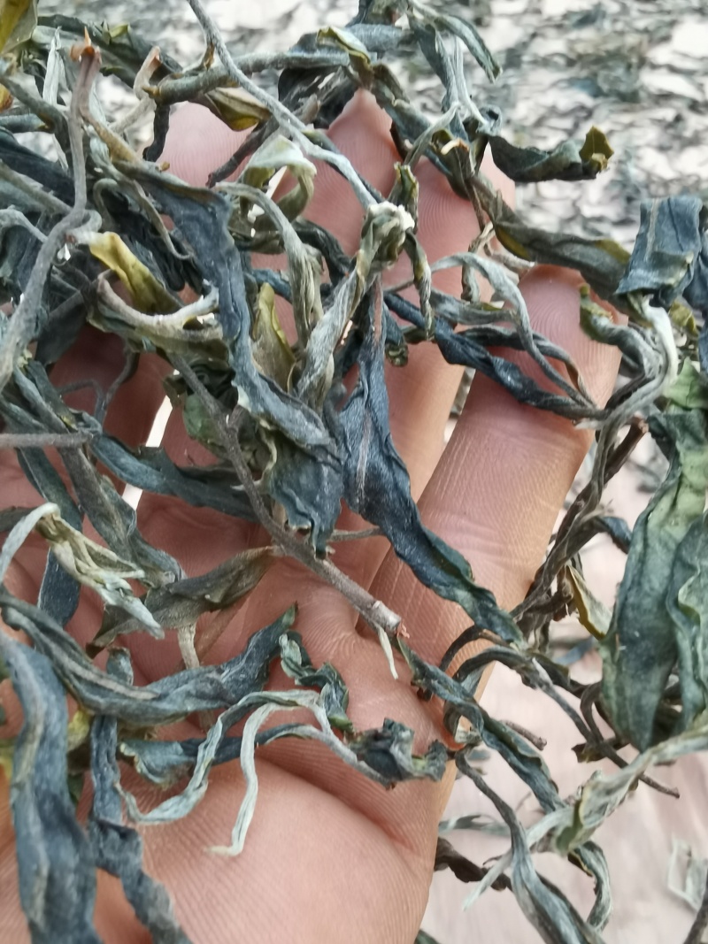 古树茶