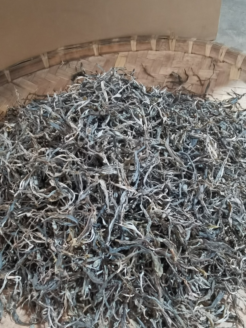 古树茶