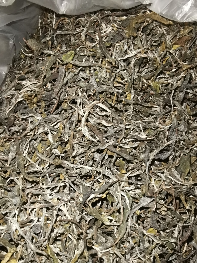 古树茶