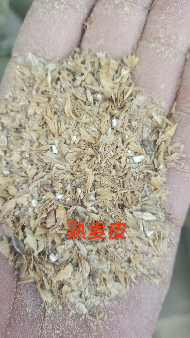 大麦糠