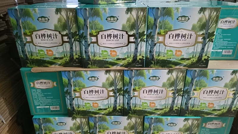 白桦树汁