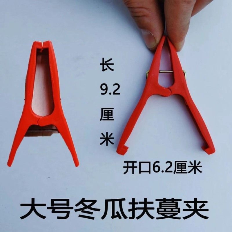 冬瓜百香果竹竿固定夹子西红柿黄瓜无花果夹子带齿抗风