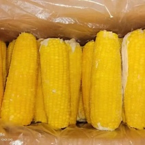 东北甜糯玉米