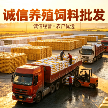 干豆渣