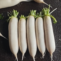 白萝卜