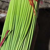 蒜薹