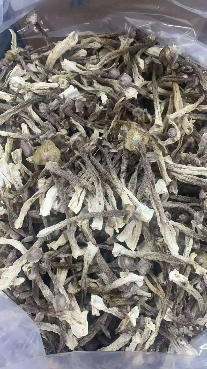 鹿茸菇整件，一件180，不包运费，可以视频看货，