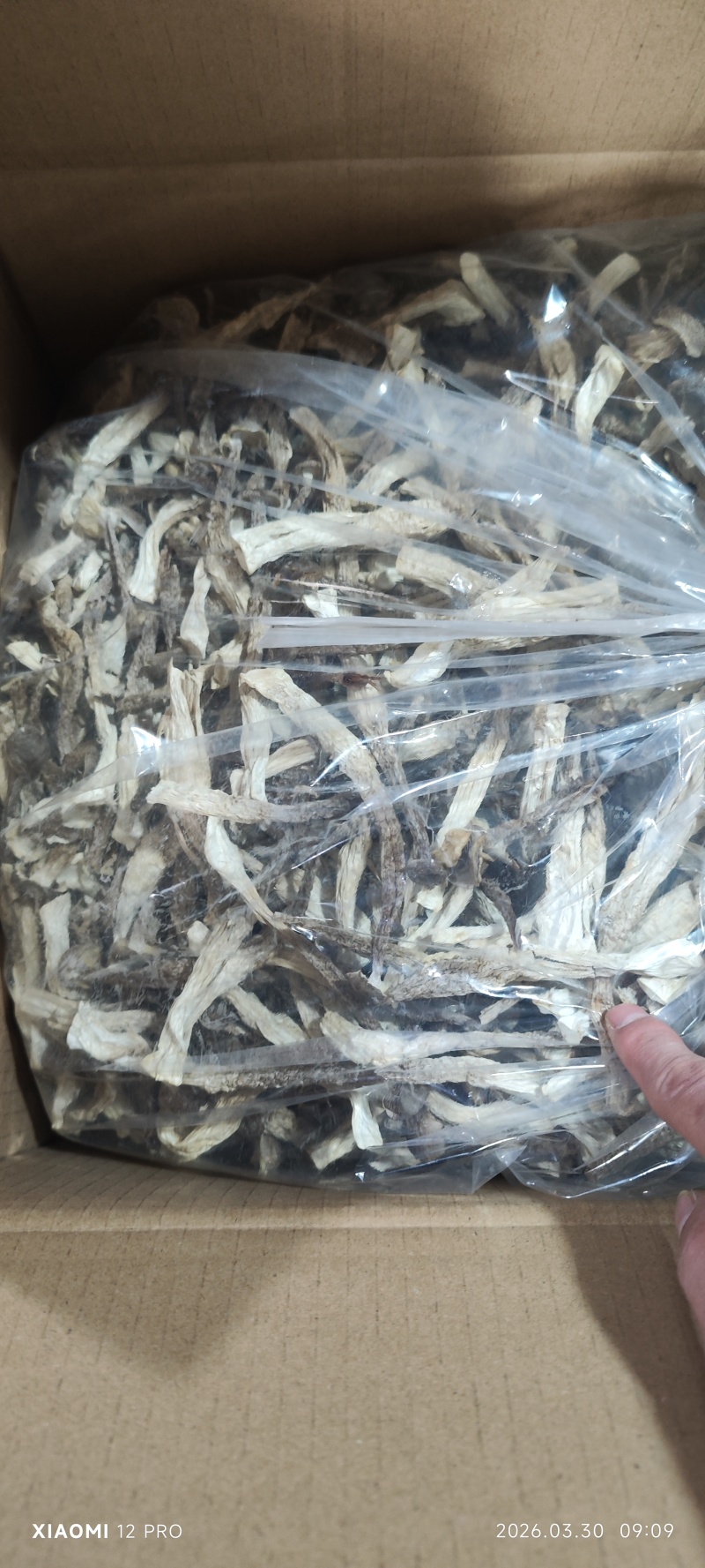 鹿茸菇整件，一件180，不包运费，可以视频看货，