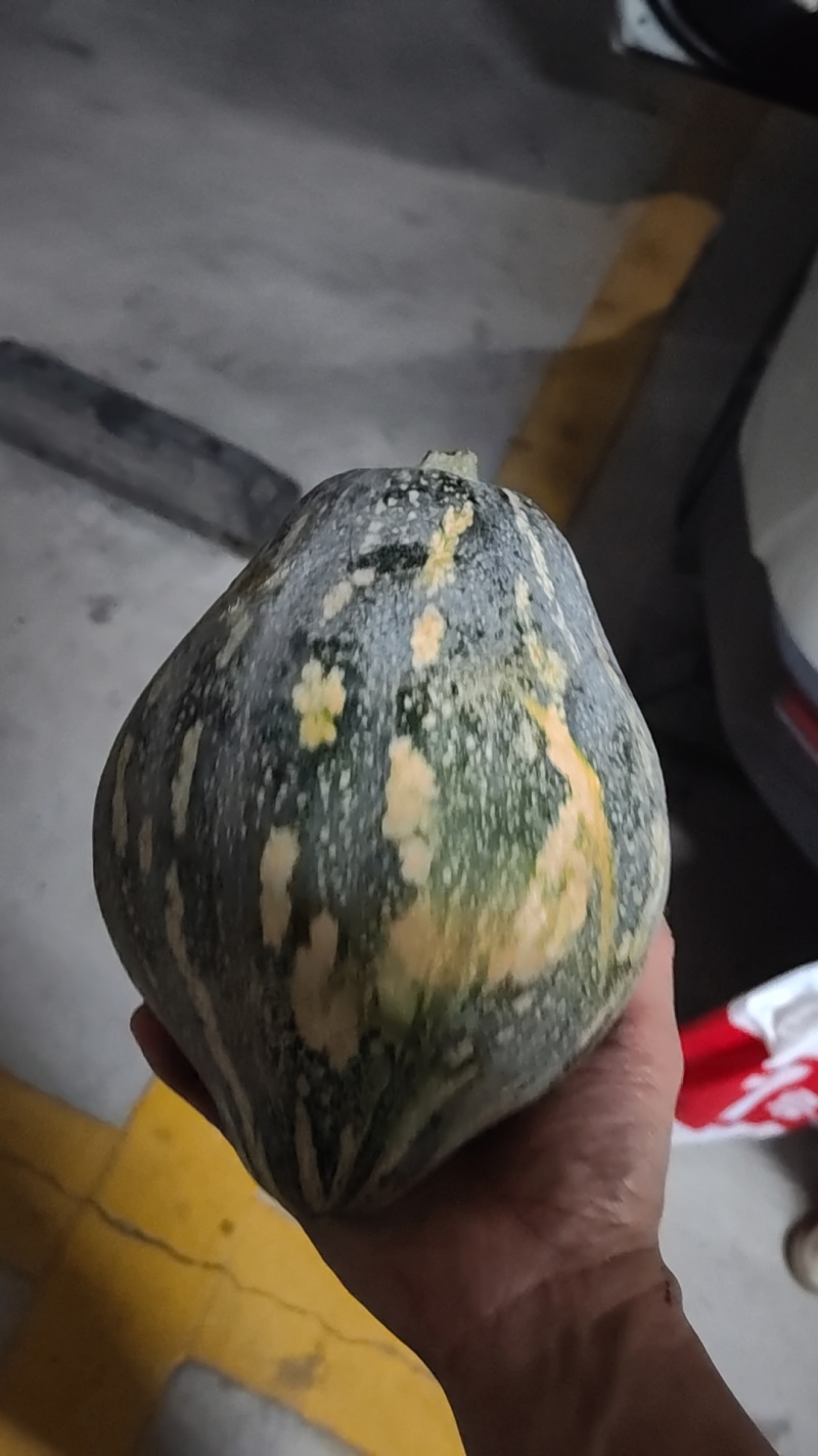 南瓜有7000多斤左右