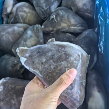 品名：500/700鲽鱼头规格：一件30斤，25/26个