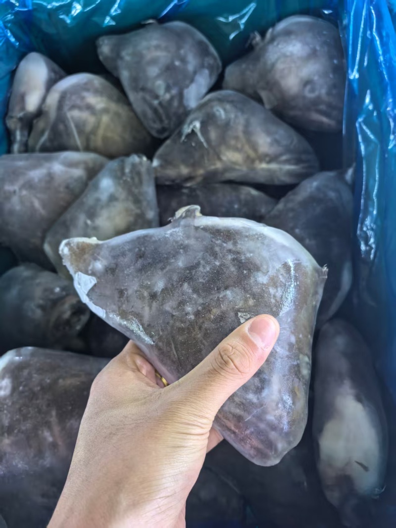 品名：500/700鲽鱼头规格：一件30斤，25/26个