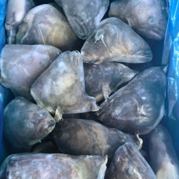 品名：500/700鲽鱼头规格：一件30斤，25/26个