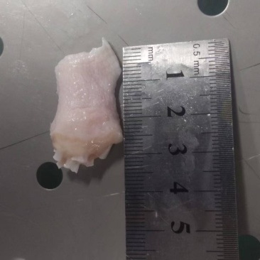 二级鸭脚筋两吨来货