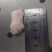 二级鸭脚筋两吨来货