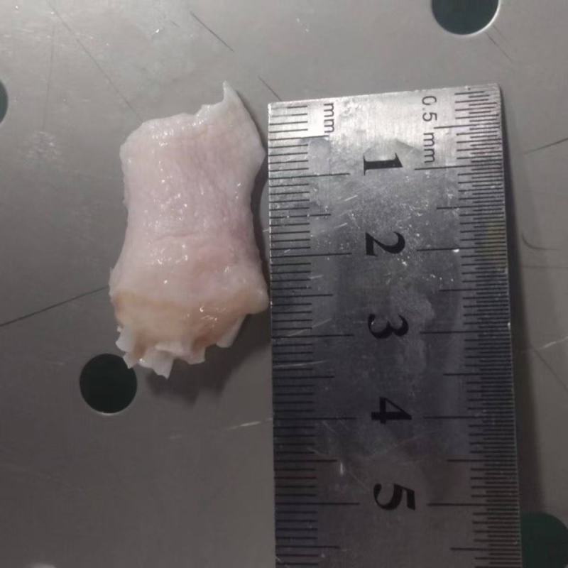 二级鸭脚筋两吨来货