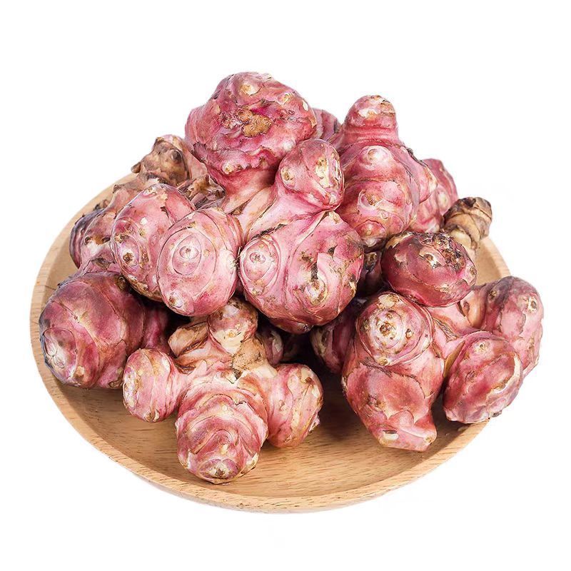 红洋姜新鲜野生鬼子姜不辣农家蔬菜酱腌菜泡菜种姜菊芋现挖生洋姜
