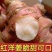 红洋姜新鲜野生鬼子姜不辣农家蔬菜酱腌菜泡菜种姜菊芋现挖生洋姜
