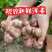 红洋姜新鲜野生鬼子姜不辣农家蔬菜酱腌菜泡菜种姜菊芋现挖生洋姜