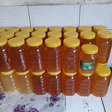 意蜂蜂蜜