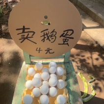鹅蛋