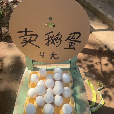 鹅蛋