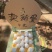 鹅蛋