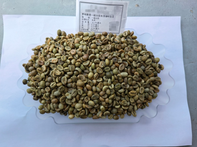 咖啡豆源头直供越南罗优势可以