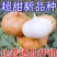 凉薯
