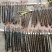 15cm上3.5/条13cm2.6/条12cm1.5条