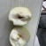 红香酥梨，规格65到80起货。不发虚不黑心