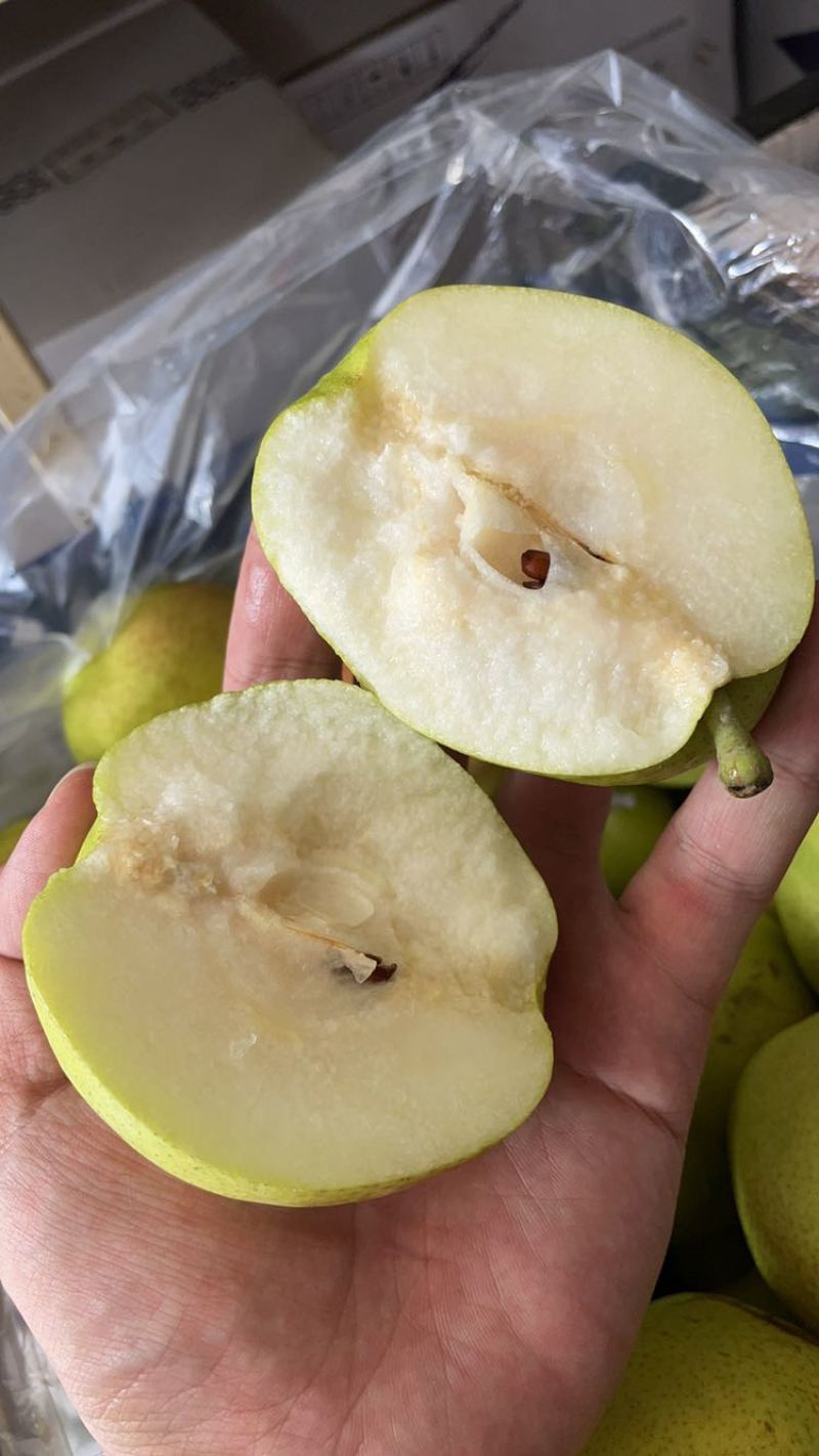 红香酥梨，规格65到80起货。不发虚不黑心