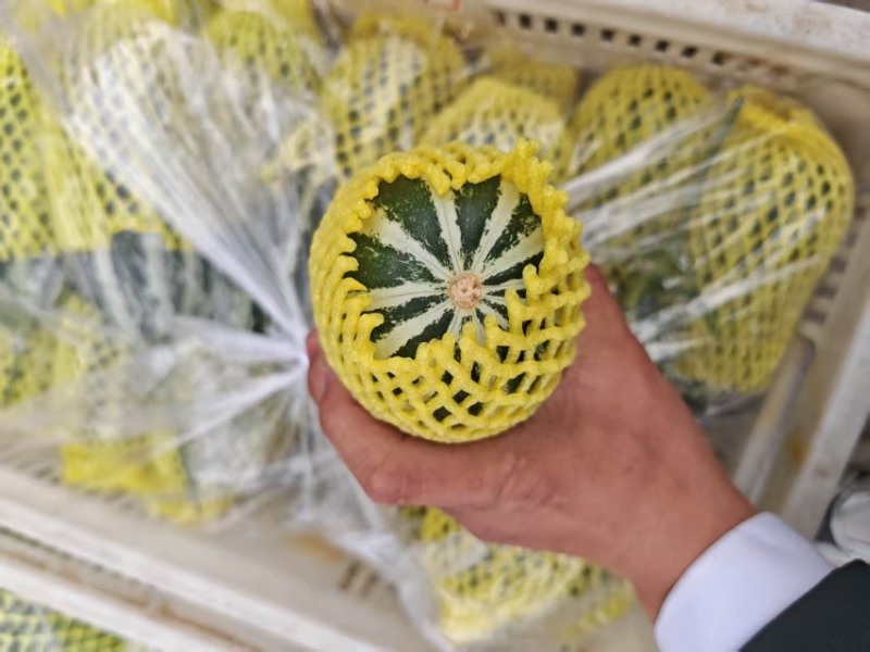 博洋九精品，通货电商货赶集货