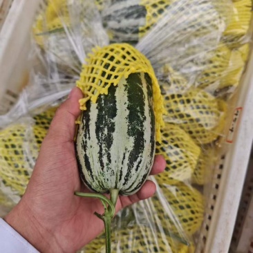 博洋九精品，通货电商货赶集货
