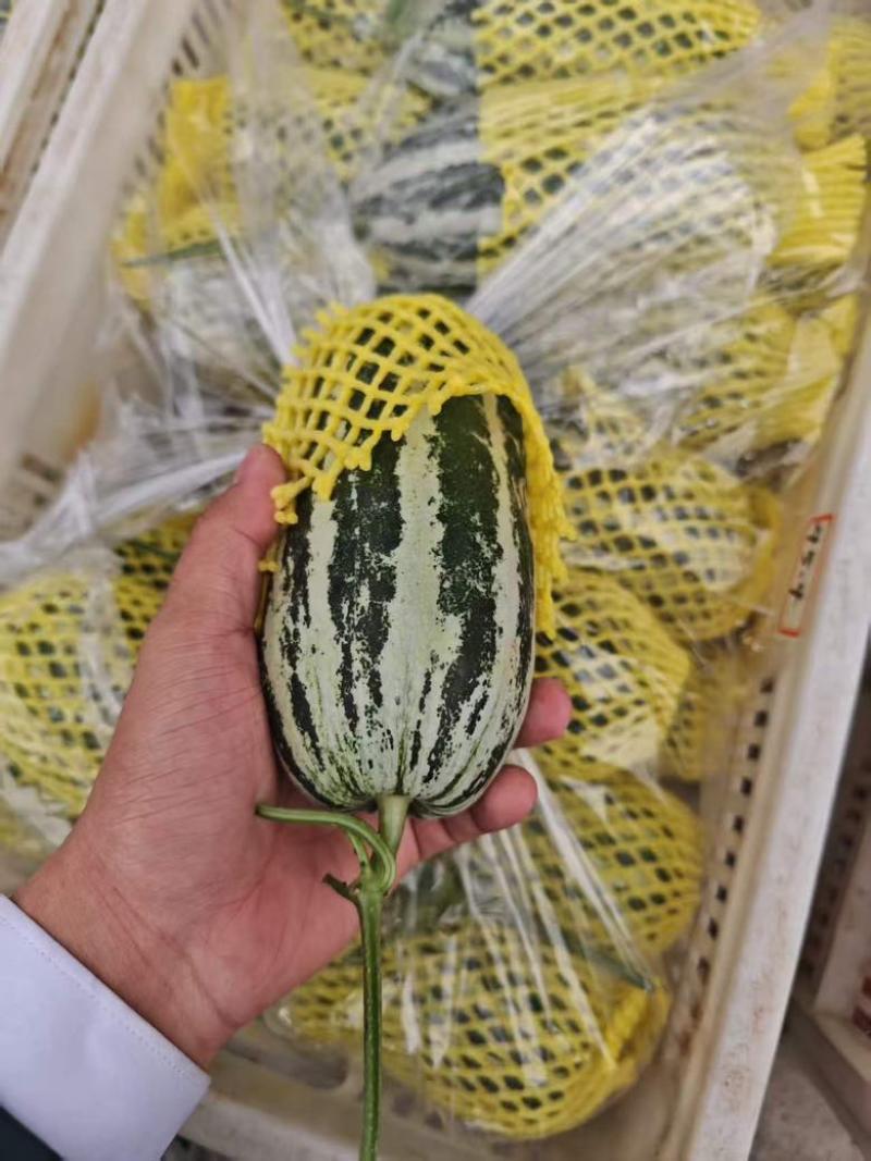 博洋九精品，通货电商货赶集货