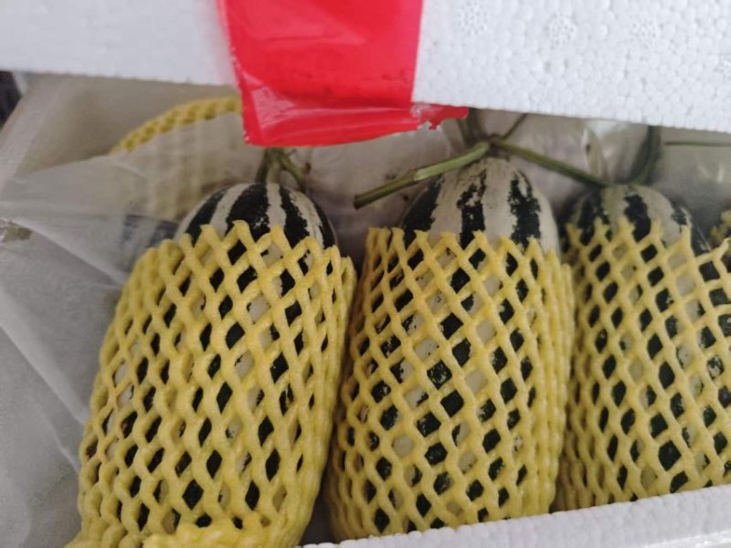 博洋九精品，通货电商货赶集货
