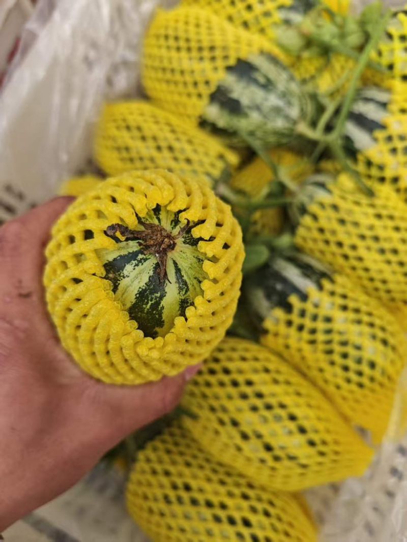 博洋九精品，通货电商货赶集货