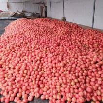 精品西红柿🍅