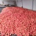 陆地精品西红柿🍅