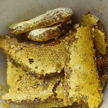 纯野生蜜糖