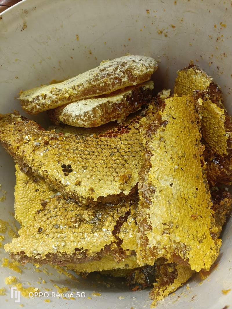 纯野生蜜糖