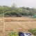 出租田地